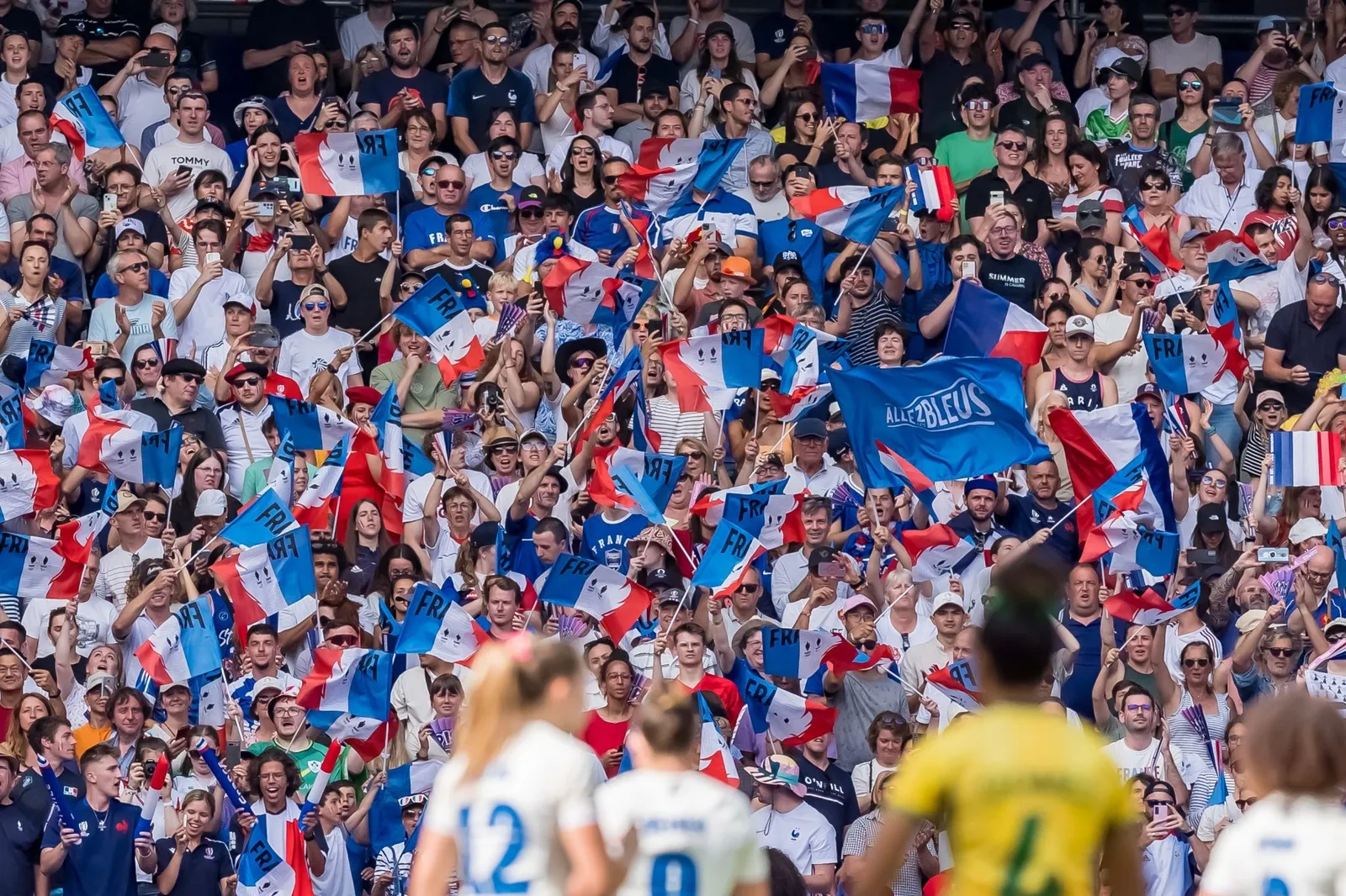 Crowd celebrating during a soccer match